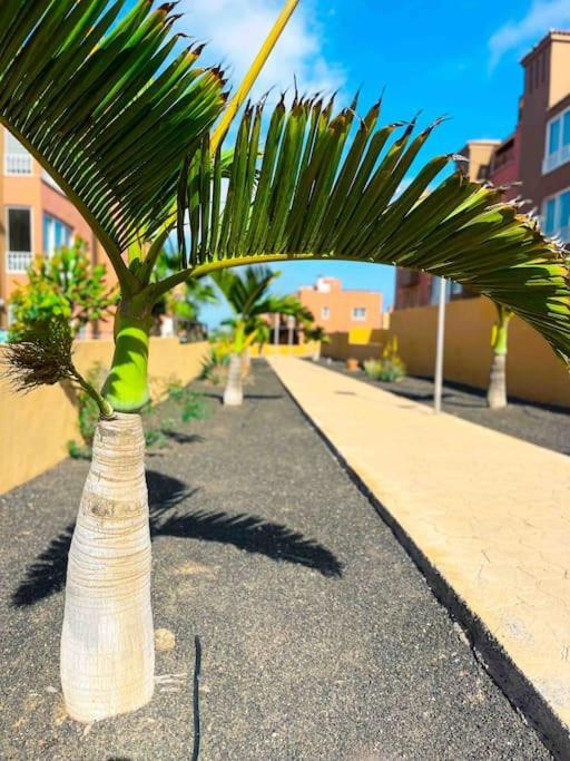 Apartamento Casa Bamboo Corralejo, Espacioso, Piscina Y Parking Luaran gambar