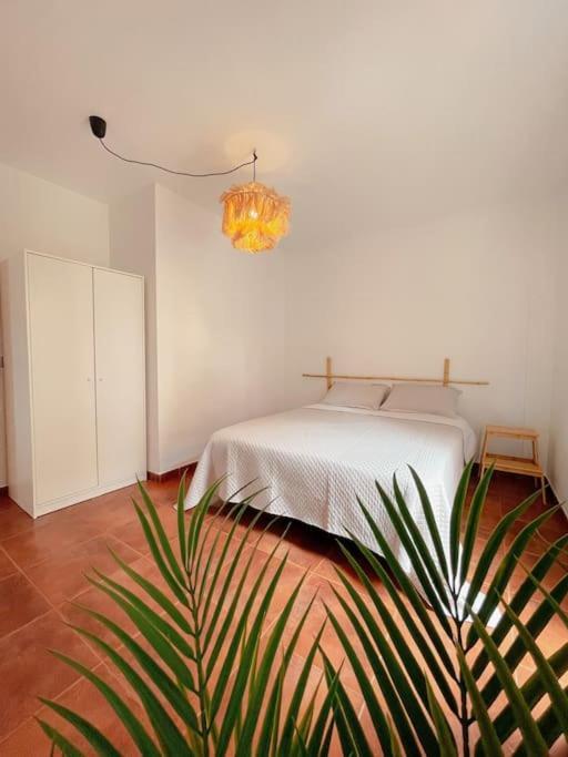 Apartamento Casa Bamboo Corralejo, Espacioso, Piscina Y Parking Luaran gambar