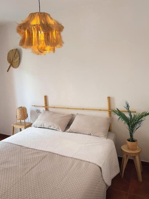 Apartamento Casa Bamboo Corralejo, Espacioso, Piscina Y Parking Luaran gambar