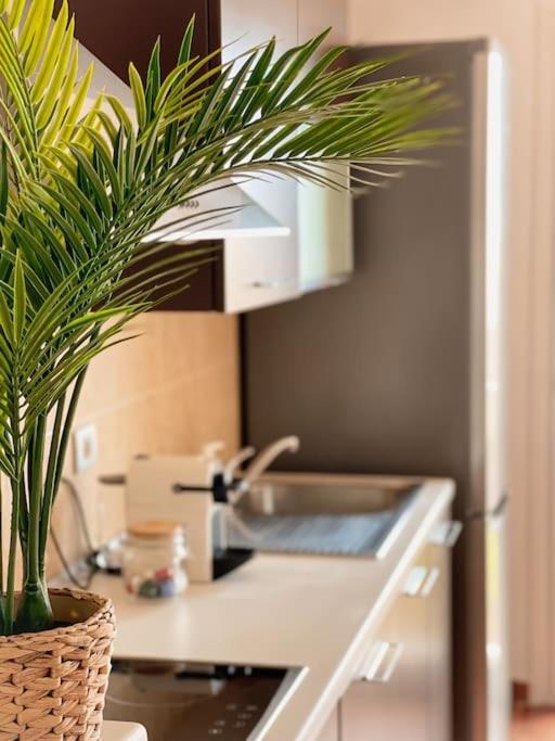 Apartamento Casa Bamboo Corralejo, Espacioso, Piscina Y Parking Luaran gambar